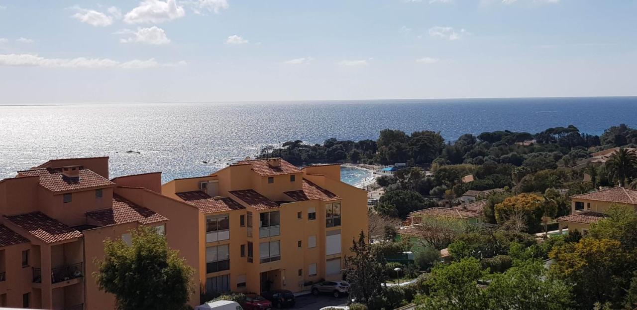 T1 Vue Mer Bord De Mer Ajaccio Ajaccio  Kültér fotó